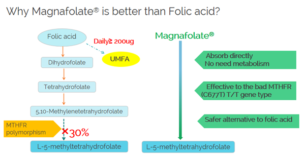 Bakit ang Magnafolate ay mas mahusay kaysa sa folic acid?