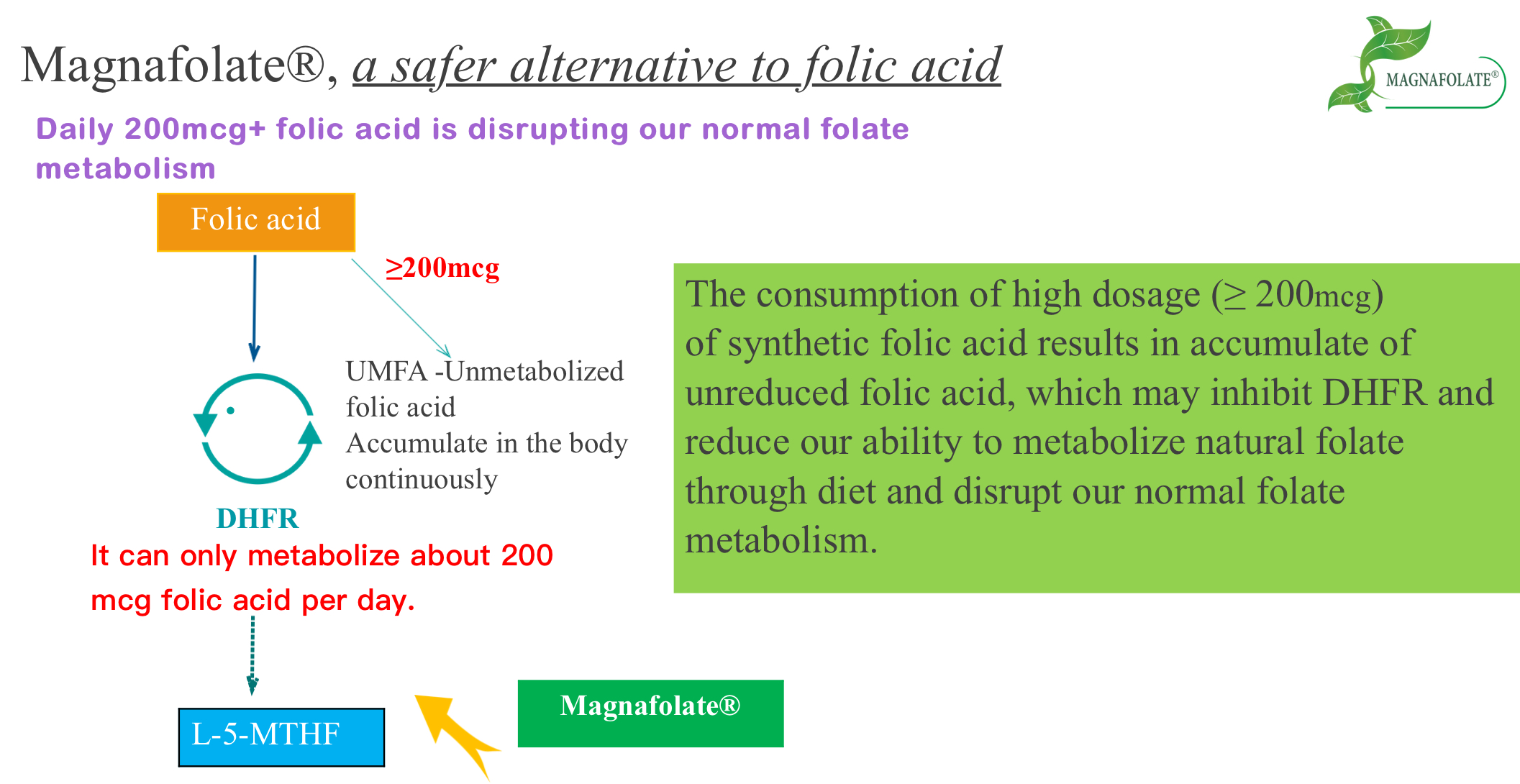 Magnafolate, Isang Mas Ligtas na Alternatibo sa Folic Acid