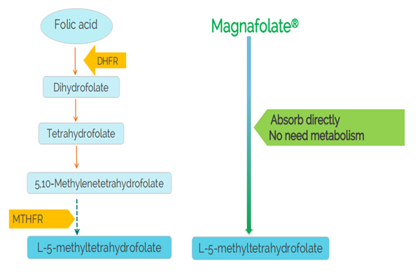 Kailangan bang kumuha ng mga pandagdag na naglalaman ng methylfolate kaysa sa folic acid?