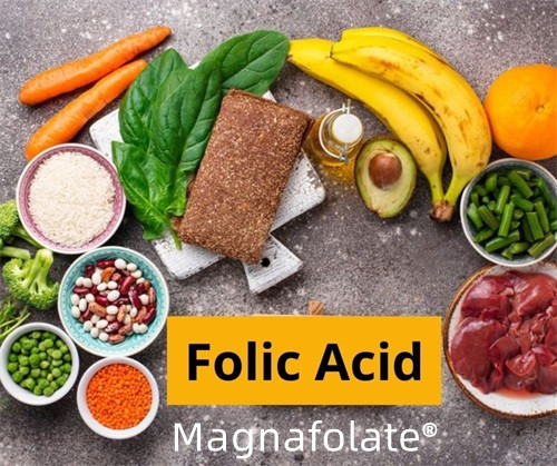 Folate (Folic Acid)—Panimula at paggana