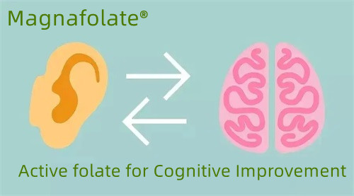 Aktibong folate para sa Cognitive Improvement