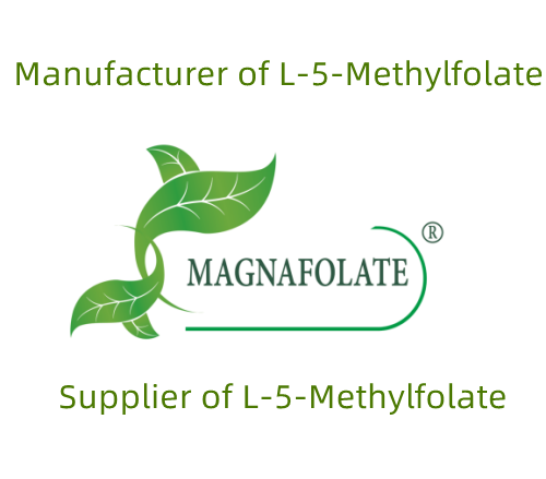 L-MethylFolate raw material Manufacturer