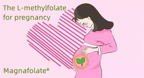Folate at L Methylfolate sa mga taong nagbubuntis