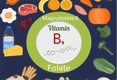 Folic acid, folate at L Methylfolate