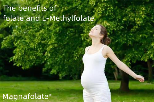 Ang mga benepisyo ng folate at L-Methylfolate