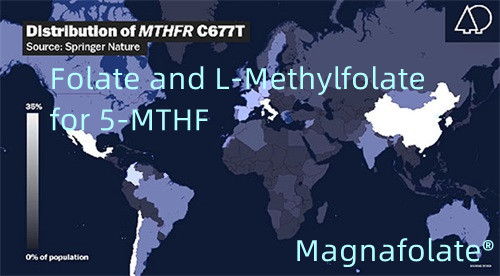 Folate at L-Methylfolate para sa 5-MTHF