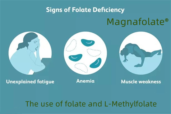 Ang paggamit ng folate at L-Methylfolate