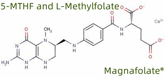 5-MTHF at L-Methylfolate