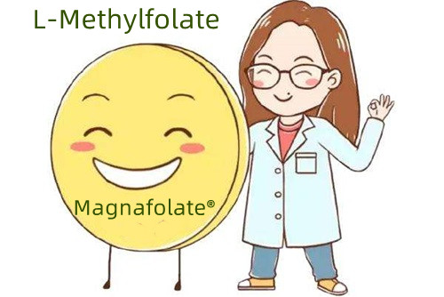 Pandagdag na mapagkukunan ng folic acid at L-Methylfolate