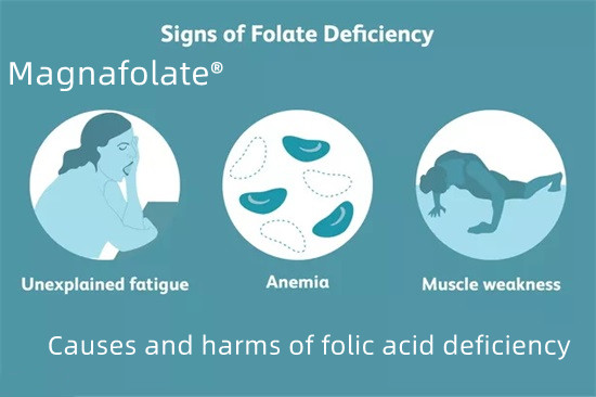 Mga sanhi at pinsala ng kakulangan sa folic acid