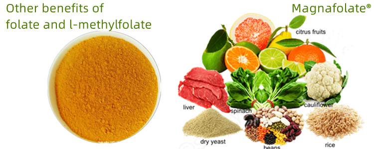 Iba pang mga benepisyo ng folate at L-Methylfolate