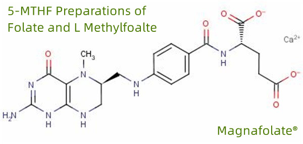 5-MTHF na Mga Paghahanda ng Folate at L Methylfoalte