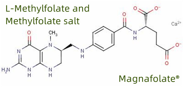 Pandaigdigang Manufacturer at Supplier ng L Methylfolate