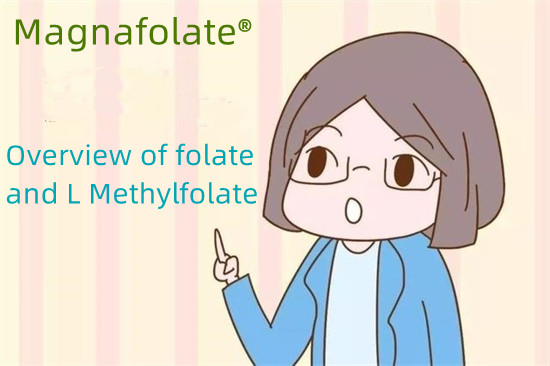 Pangkalahatang-ideya ng folate at L Methylfolate