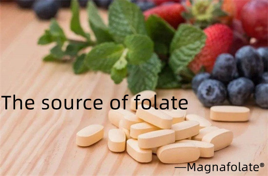 Ang pinagmulan ng folate at folic acid