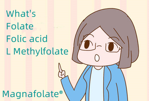 Ano ang folate at folic acid at L Methylfolate?