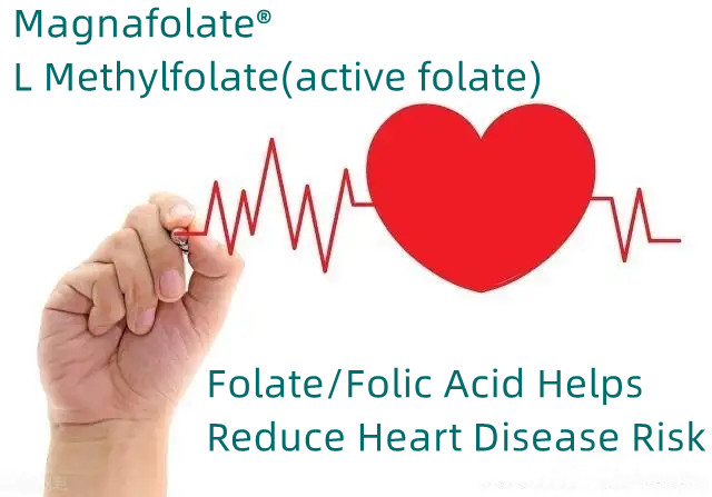 Nakakatulong ang Folate/Folic Acid na Bawasan ang Panganib sa Sakit sa Puso