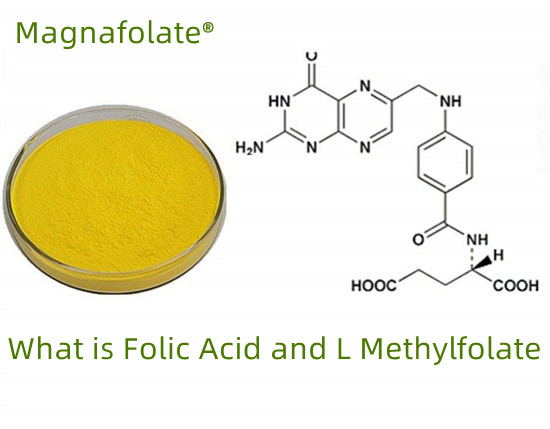 Ano ang folate VS folic acid VS L-methylfolate