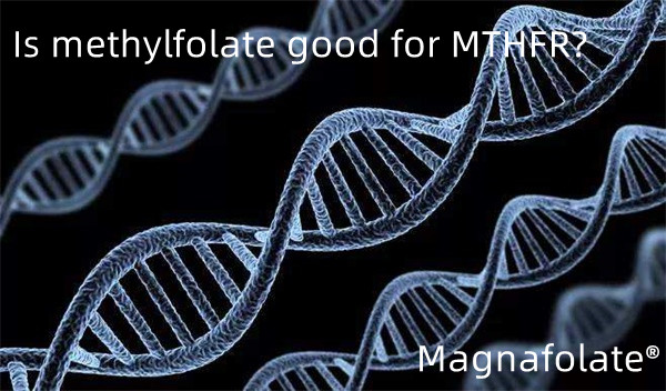 Ang methylfolate ba ay mabuti para sa MTHFR?