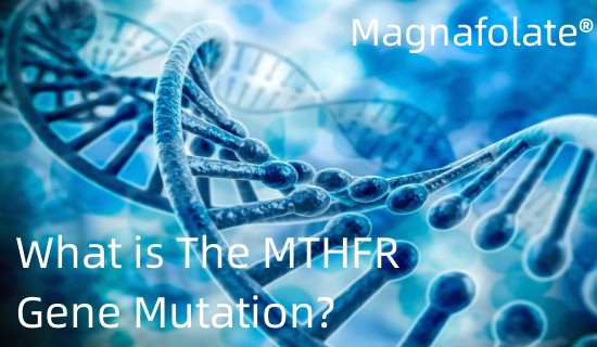 Ano ang MTHFR Gene Mutation?