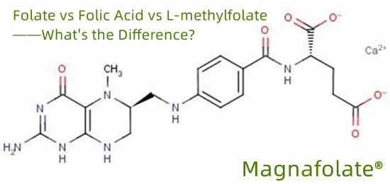 Ang methylfolate ba ay isang anyo ng folic acid?