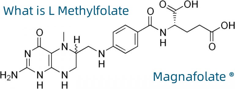 Ano ang L Methylfolate?