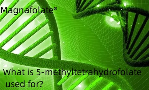 Ano ang gamit ng 5-methyltetrahydrofolate?