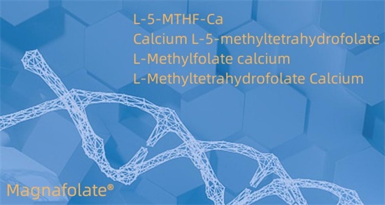 Kaltsyum L-5-methyltetrahydrofolate Cas151533-22-1