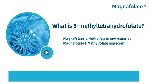 Ano ang 5-methyltetrahydrofolate?
