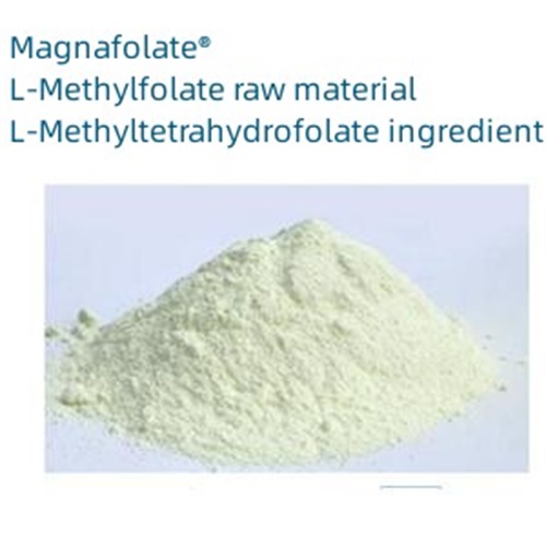 Calcium L-5-methylfolate Key Parameters at Panimula