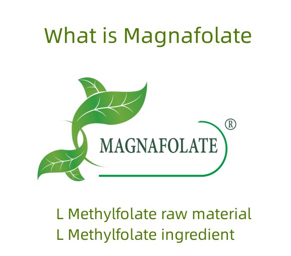 Ano ang Magnafolate?