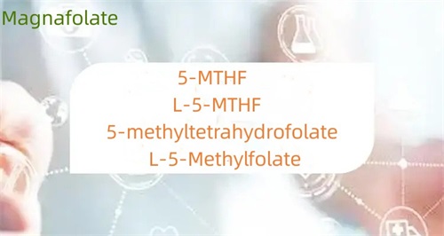 Ano ang pagkakaiba sa pagitan ng 5-methyltetrahydrofolate at folate