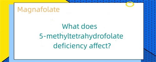 Ano ang nakakaapekto sa kakulangan sa 5-methyltetrahydrofolate?