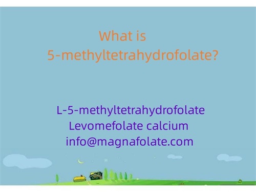 Ano ang 5-methyltetrahydrofolate?