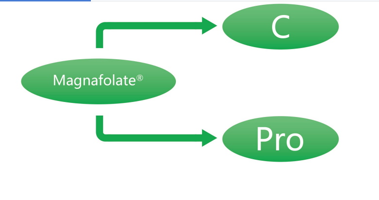 Magnafolate C at Pro—L-Methylfolate Calcium