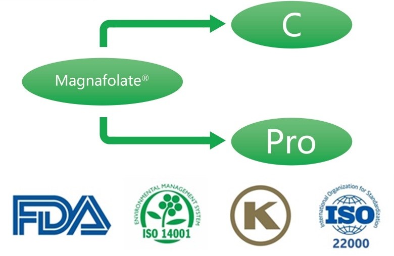 Ano ang Calcium L-5-methyltetrahydrofolate? Ano ang mga supplier?