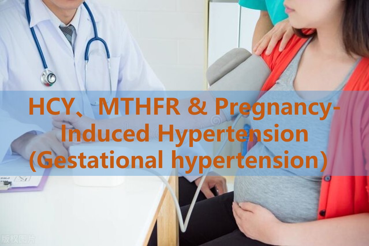 Folate supplementation at pagbubuntis-sapilitan hypertension (gestational hypertension): ang papel ng mga antas ng homocysteine ​​at MTHFR genetic polymorphism