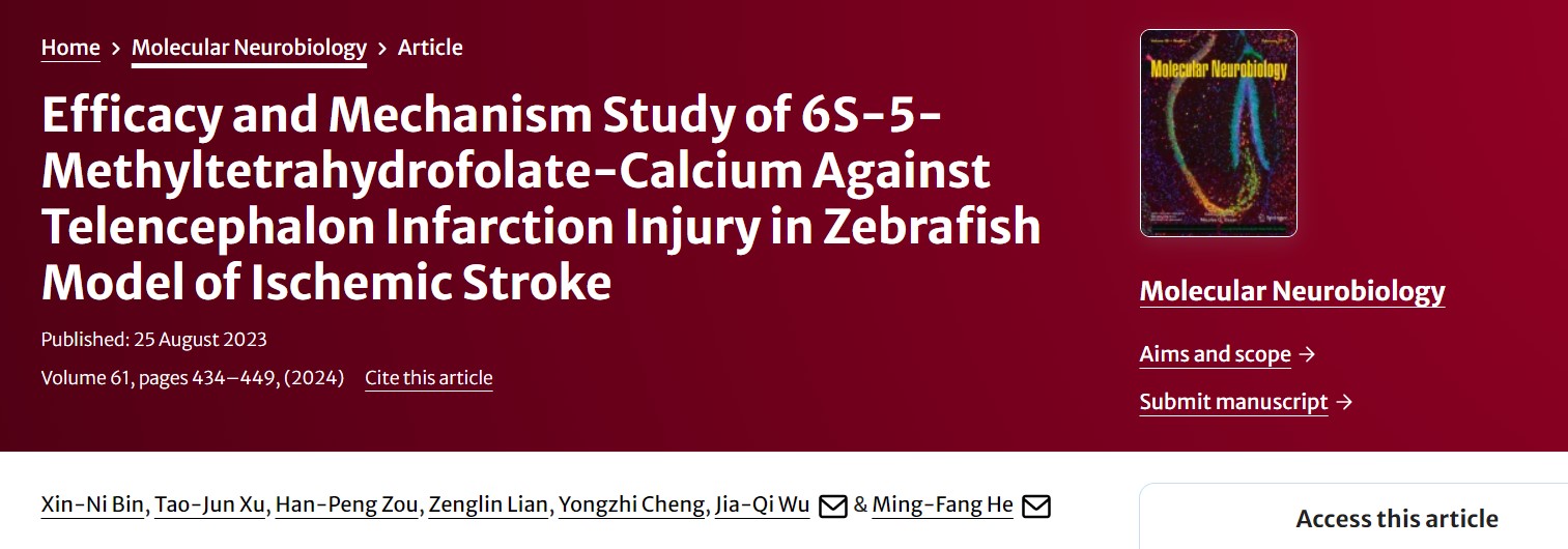 Pagprotekta sa Kalusugan ng Utak: 6S-5-Methyltetrahydrofolate Calcium, Bagong Pag-asa para sa Pag-iwas at Paggamot ng Stroke