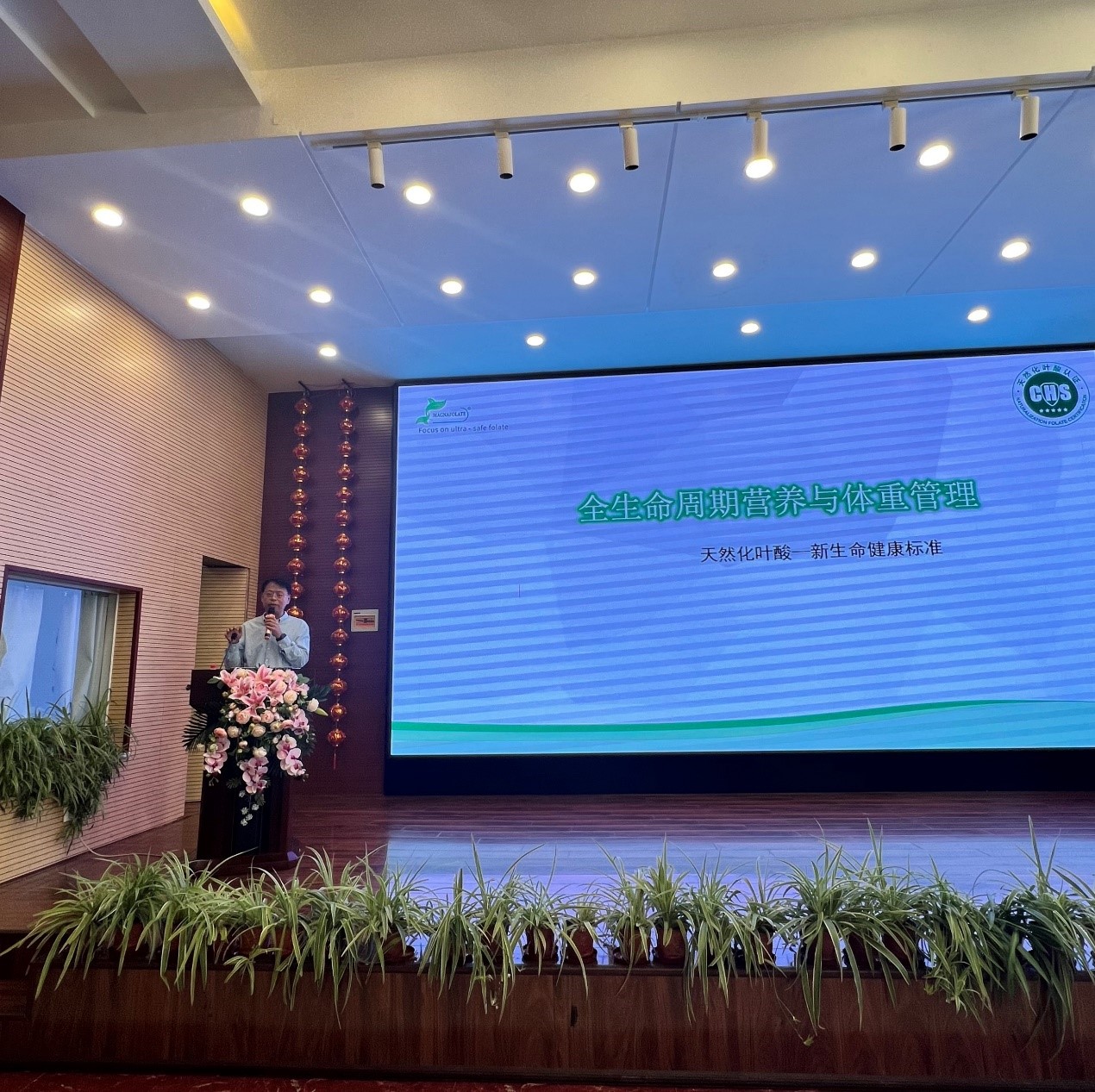 Magnafolate: Pagpapahusay ng Lifespan Nutrisyon at Pamamahala ng Timbang