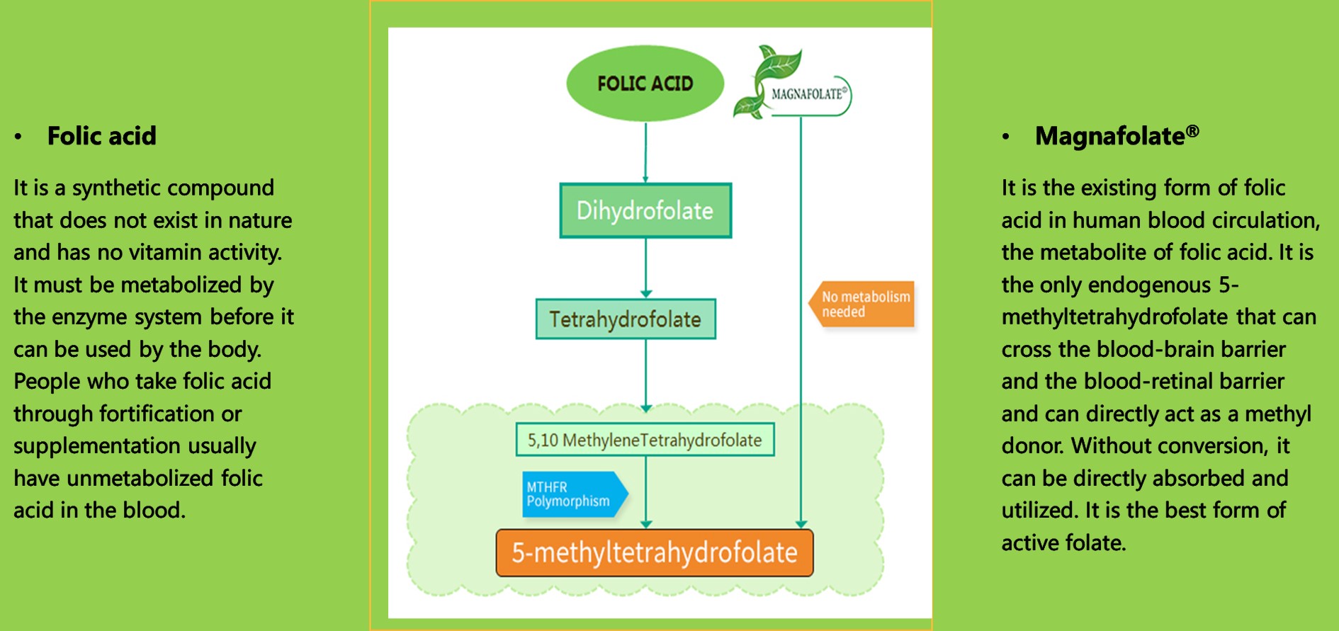 Iwasan ang mga pitfalls ng folate supplementation sa panahon ng pagbubuntis: ang mataas na dosis ng synthetic folic acid ay maaaring magdulot ng mga nakatagong panganib, ang naturalization folate (magnafolate) ay mas ligtas